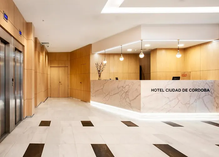 科尔多瓦埃克斯赛达迪酒店 4* 科爾多瓦